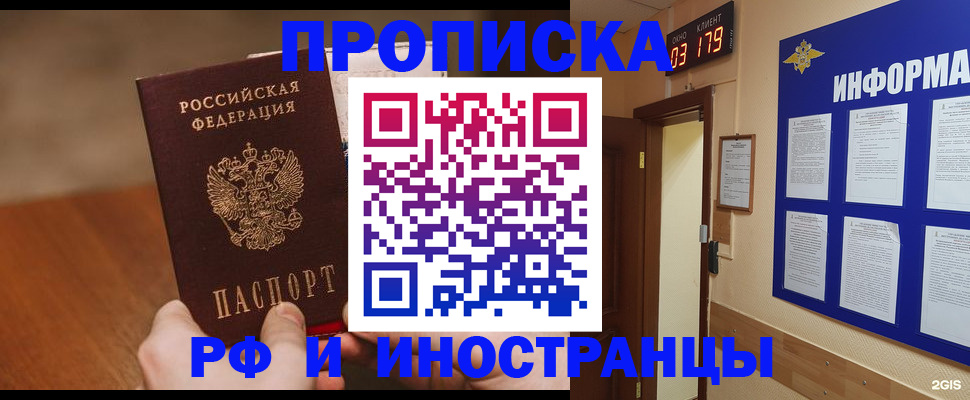 прописка в Елизово